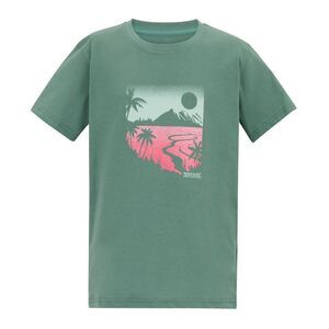 Regatta Childrens/Kids Bosley Artwork T-Shirt / Ivy Moss